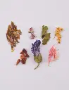 ROOIBOS VERDE 1.000 FLORES - 250G