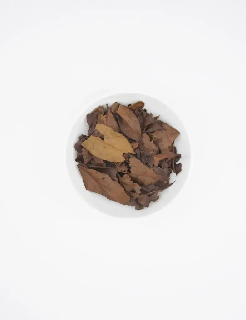 BANCHA DE KYOTO - 125G